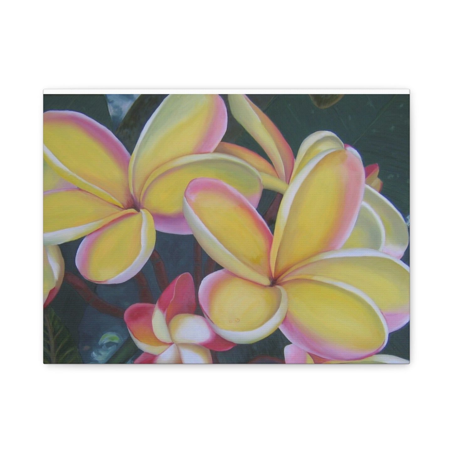 Plumeria:  Canvas Wall Art, Tropical Home Decor, Spring Decoration, Perfect Gift for Art Lovers, Floral Wall Decor