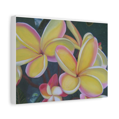 Plumeria:  Canvas Wall Art, Tropical Home Decor, Spring Decoration, Perfect Gift for Art Lovers, Floral Wall Decor