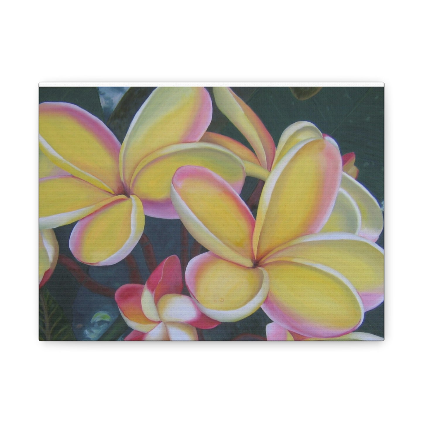 Plumeria:  Canvas Wall Art, Tropical Home Decor, Spring Decoration, Perfect Gift for Art Lovers, Floral Wall Decor