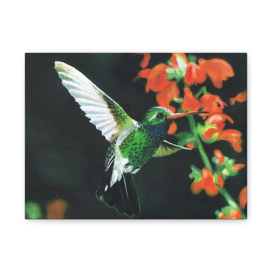 Hummingbird:  Canvas Wall Art, Home Decor, Spring Decoration, Perfect Gift for Art Lovers, Floral Wall Decor