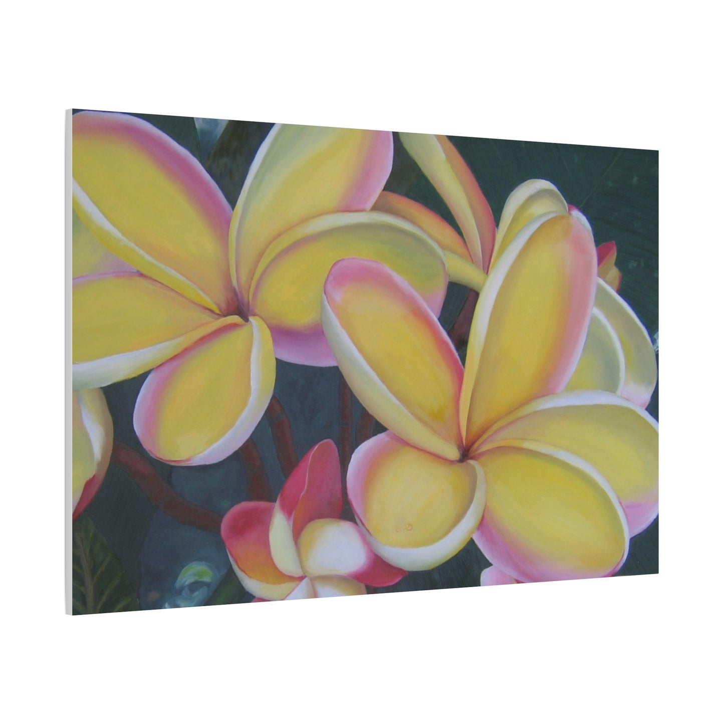 Plumeria:  Canvas Wall Art, Tropical Home Decor, Spring Decoration, Perfect Gift for Art Lovers, Floral Wall Decor