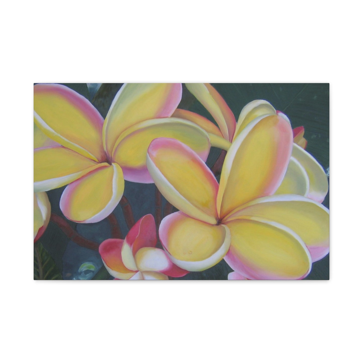Plumeria:  Canvas Wall Art, Tropical Home Decor, Spring Decoration, Perfect Gift for Art Lovers, Floral Wall Decor