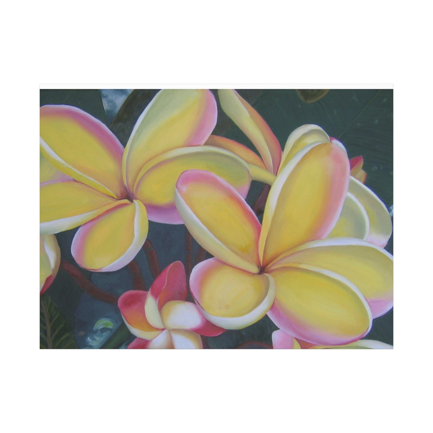 Plumeria:  Canvas Wall Art, Tropical Home Decor, Spring Decoration, Perfect Gift for Art Lovers, Floral Wall Decor