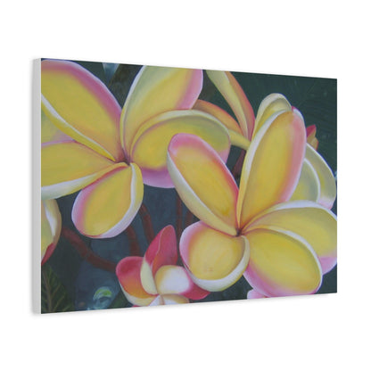 Plumeria:  Canvas Wall Art, Tropical Home Decor, Spring Decoration, Perfect Gift for Art Lovers, Floral Wall Decor