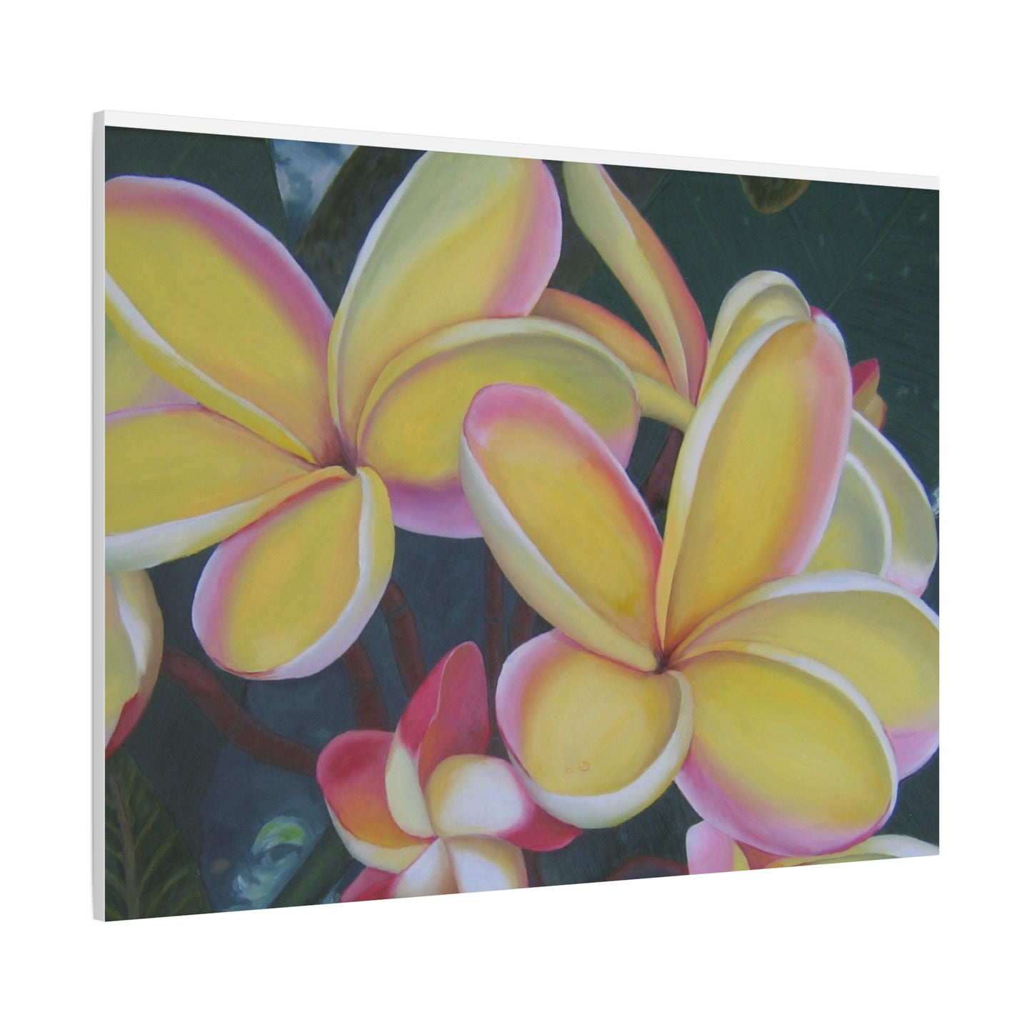 Plumeria:  Canvas Wall Art, Tropical Home Decor, Spring Decoration, Perfect Gift for Art Lovers, Floral Wall Decor