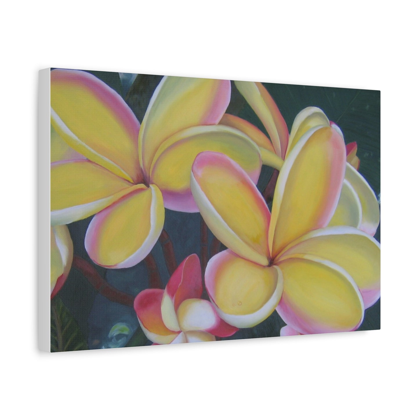 Plumeria:  Canvas Wall Art, Tropical Home Decor, Spring Decoration, Perfect Gift for Art Lovers, Floral Wall Decor