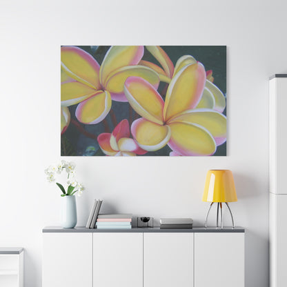 Plumeria:  Canvas Wall Art, Tropical Home Decor, Spring Decoration, Perfect Gift for Art Lovers, Floral Wall Decor