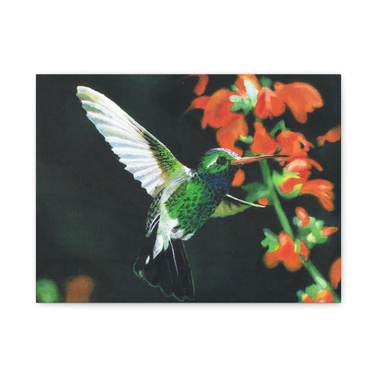 Hummingbird:  Canvas Wall Art, Home Decor, Spring Decoration, Perfect Gift for Art Lovers, Floral Wall Decor