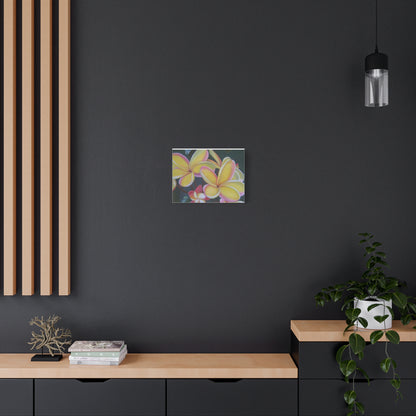 Plumeria:  Canvas Wall Art, Tropical Home Decor, Spring Decoration, Perfect Gift for Art Lovers, Floral Wall Decor