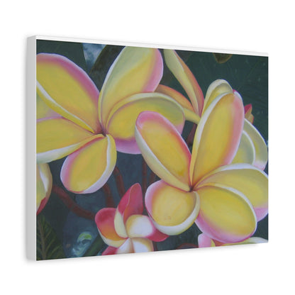 Plumeria:  Canvas Wall Art, Tropical Home Decor, Spring Decoration, Perfect Gift for Art Lovers, Floral Wall Decor